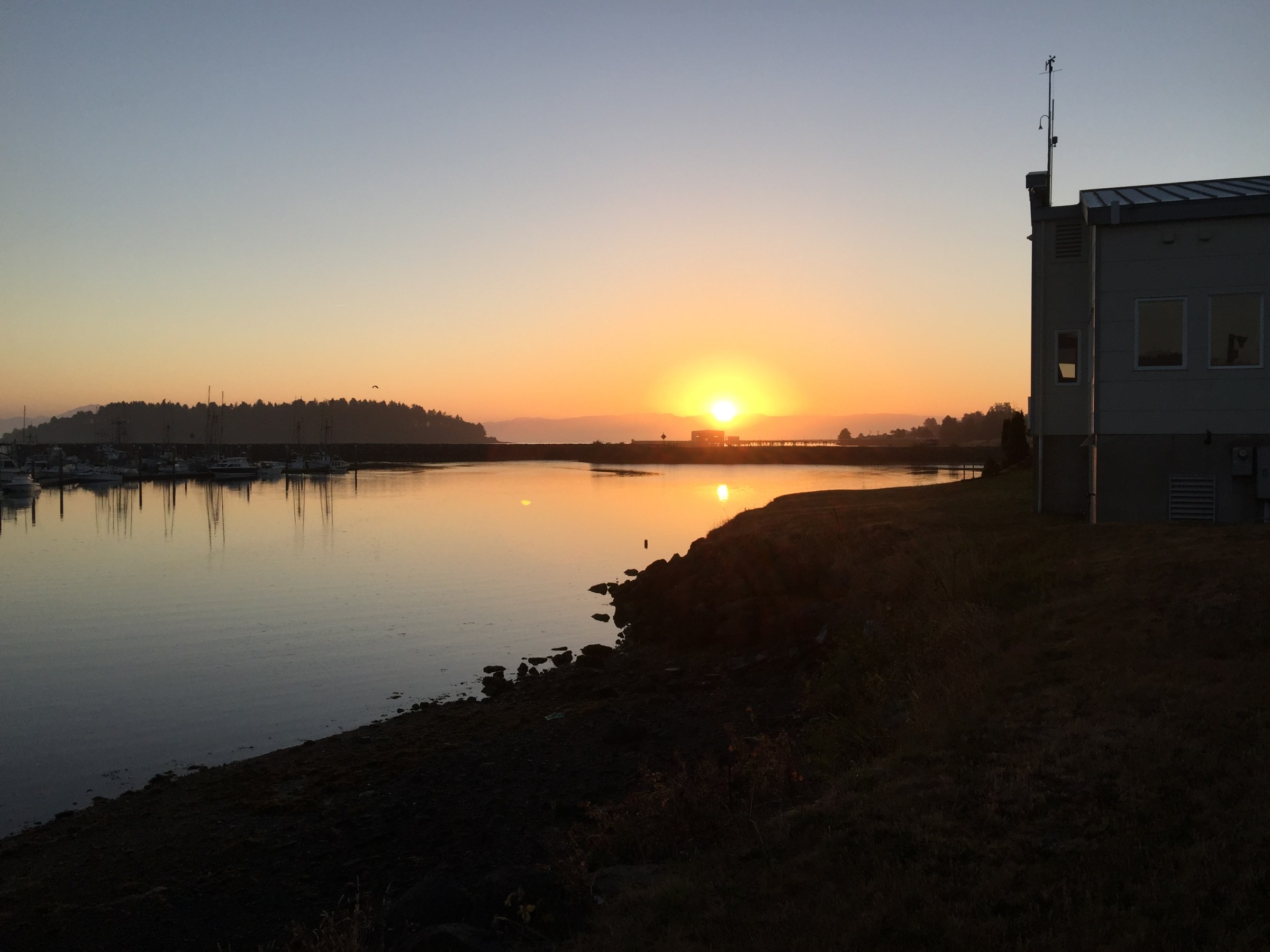 Sunset over a calm harbor with a building on the right and trees in the distance.