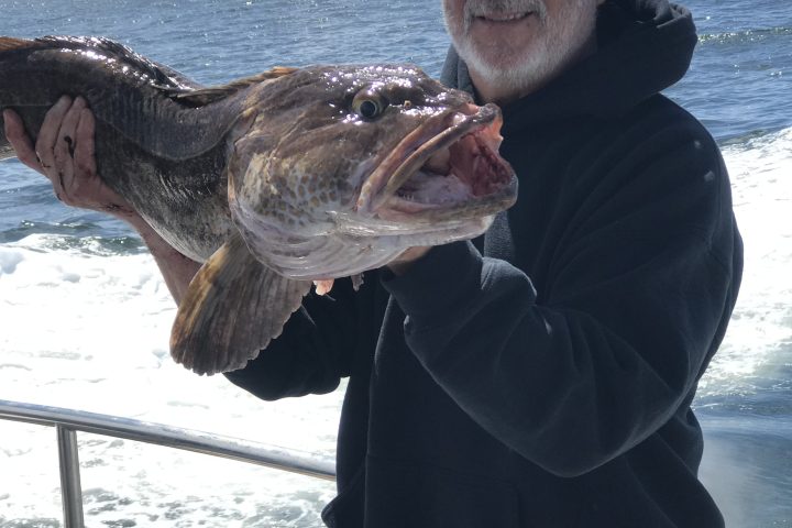 Person in sunglasses on a boat holding a large fish, ocean in the background.