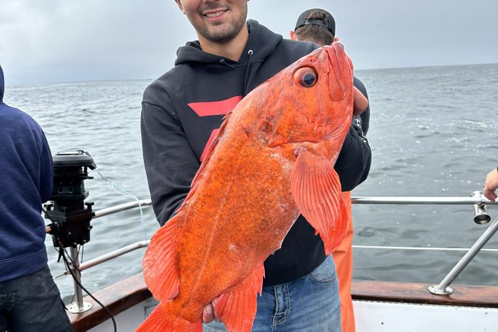 Person on boat holding a large, bright orange fish against a cloudy sky background.