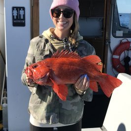 Person in pink beanie holding a red fish on a boat.
