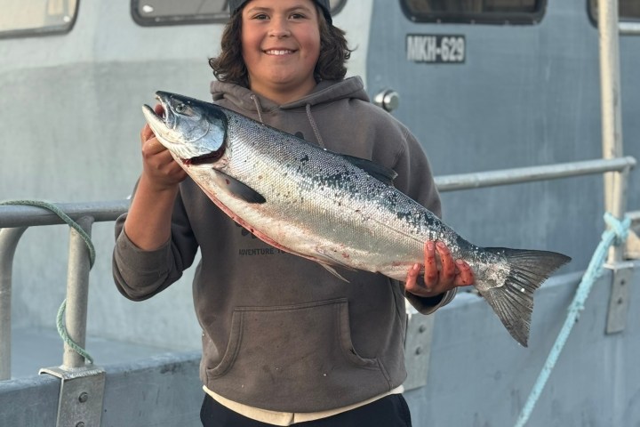 Person holding a large fish in front of a boat, wearing a hoodie and cap.